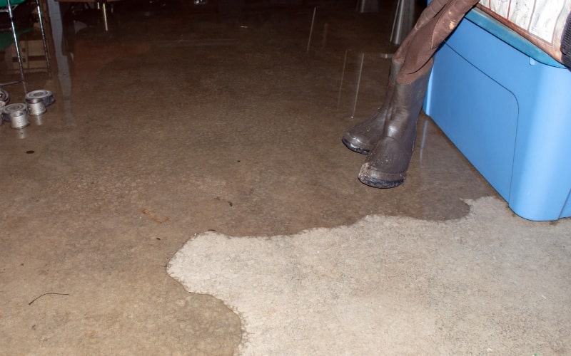 What Causes Water in Basement and How to Prevent Future Flooding