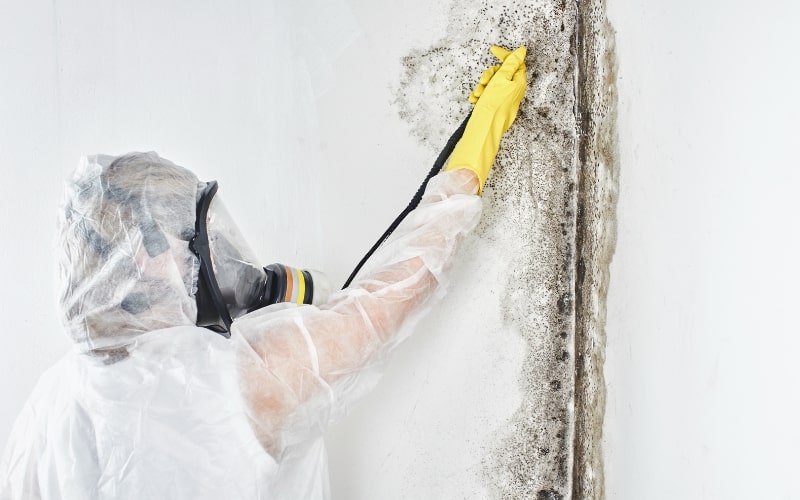 Why Black Mold in Shower Should Never Be Ignored and What to Do About It