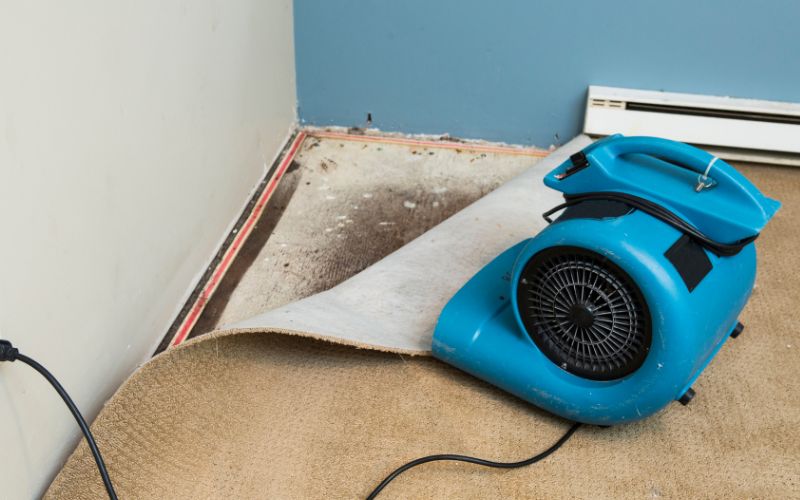 Flood Damage Repair in Zephyrhills