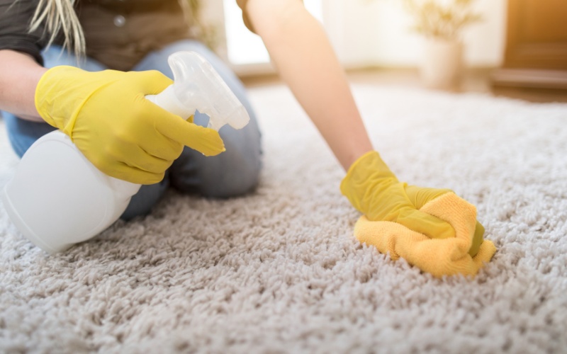 how do you clean mold out of carpet easily