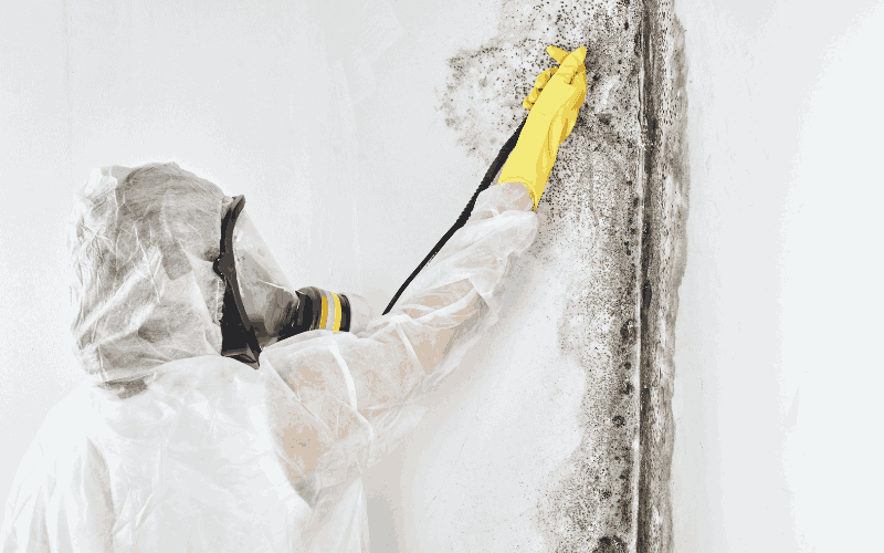 odor removal specialist