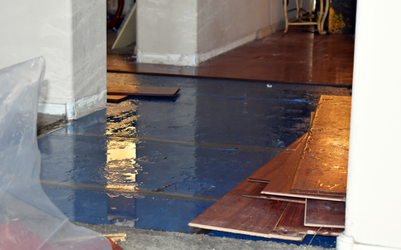 What to Expect During the Water Mitigation Process Guide for Homeowners.