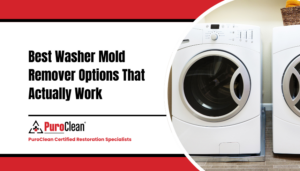 Best Washer Mold Remover Options That Actually Work