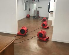 water damage and chord extension safety services in Zephyrhills, FL