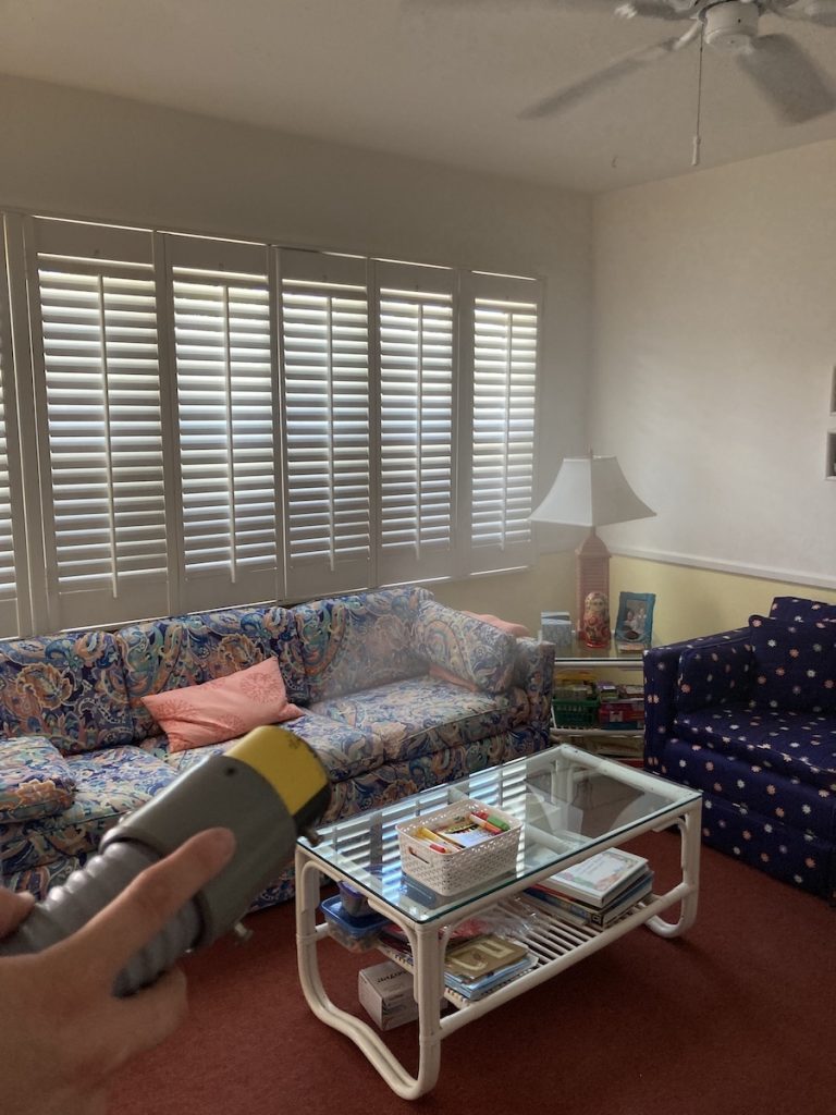 mold removal process in Zephyrhills