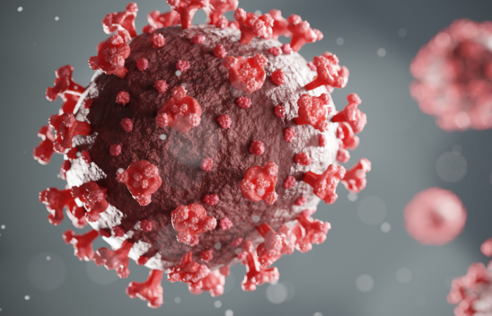 What Is Coronavirus