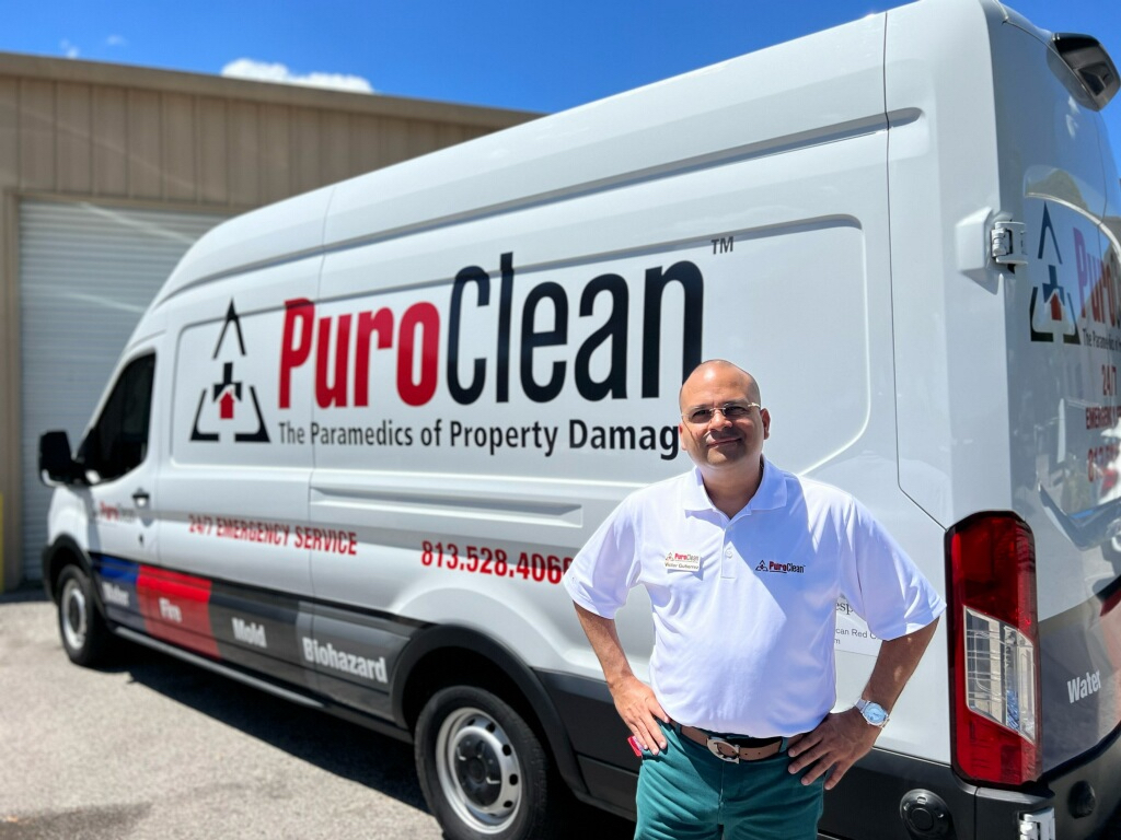 mold remediation wesley chapel
