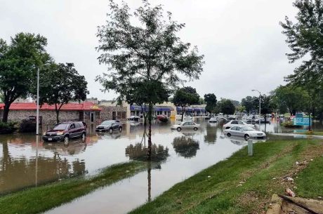 water damaged services near me