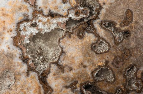 hidden mold in attic