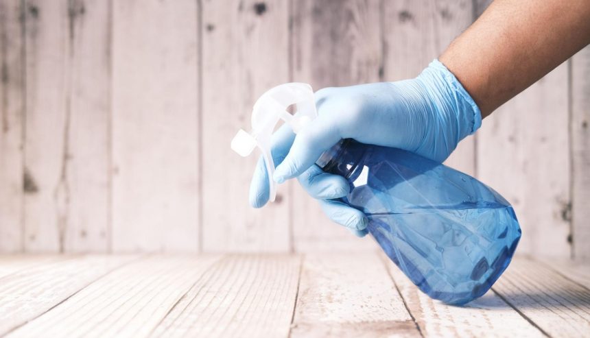 mold removal in wesly chapel