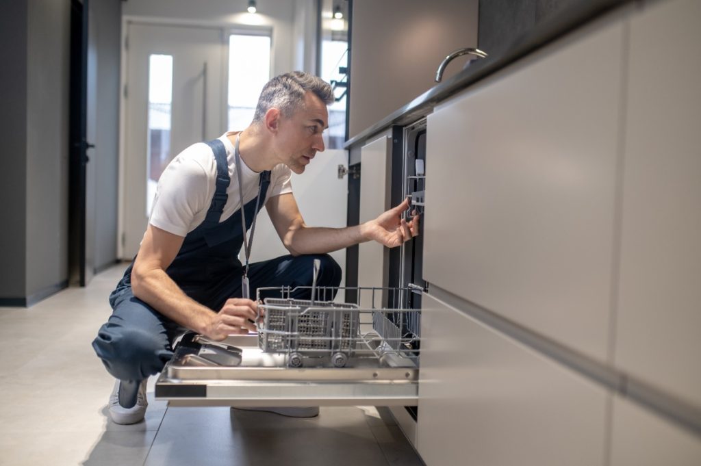 leaky dishwasher searching any sink damage in Zephyrhills