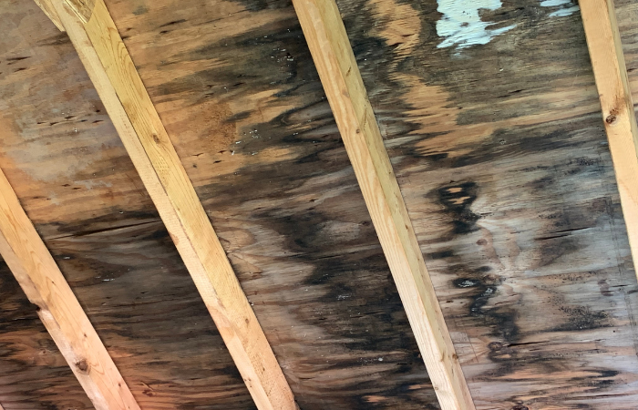 Humidity Control: A Key Factor in Attic Mold Prevention in