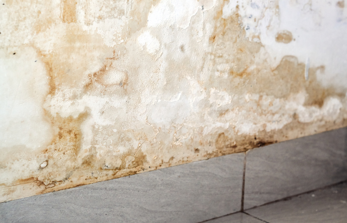 Warning signs of a slab and pinhole leak