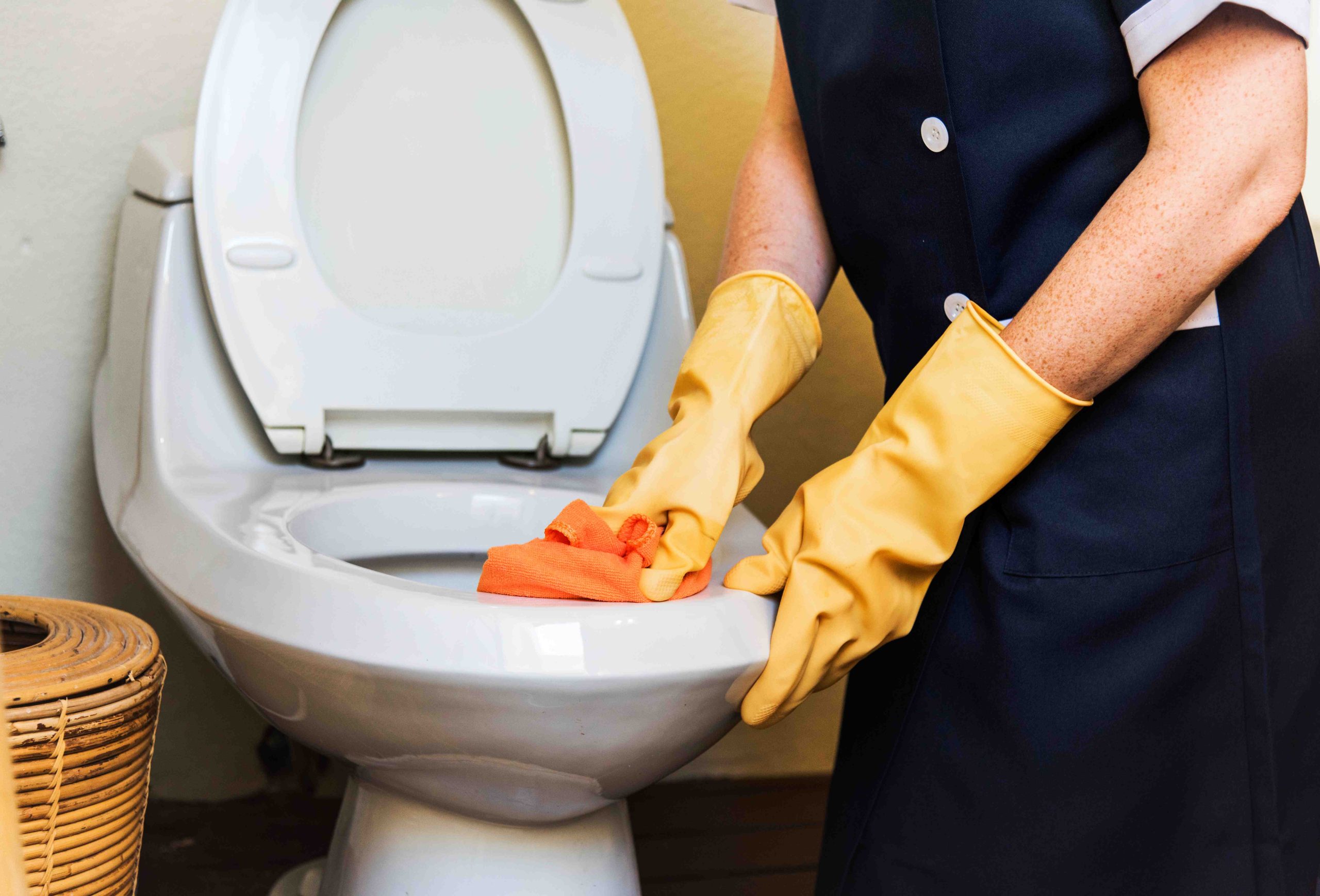 Toilet Auger vs. Snake: What's the Difference?