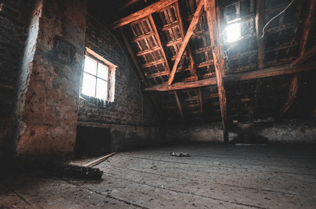 removing black mold in attic restoration services in Zephyrhills, FL