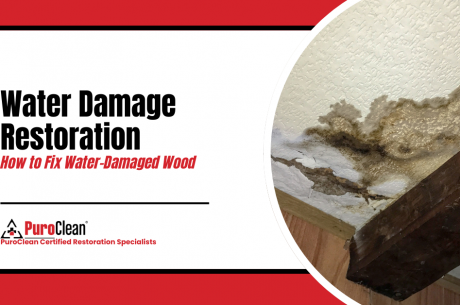 Water Damage Restoration How to Fix Water-Damaged Wood
