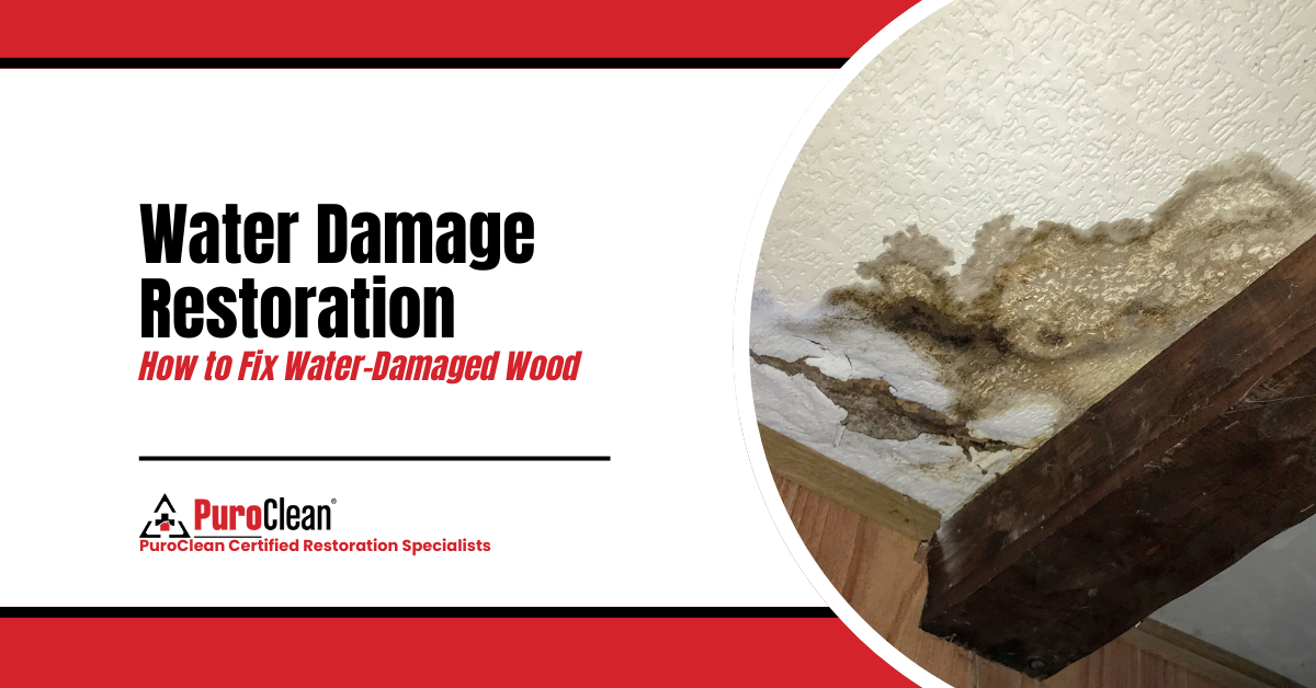 How to Restore Water-Damaged Wood: A Step-by-Step Guide