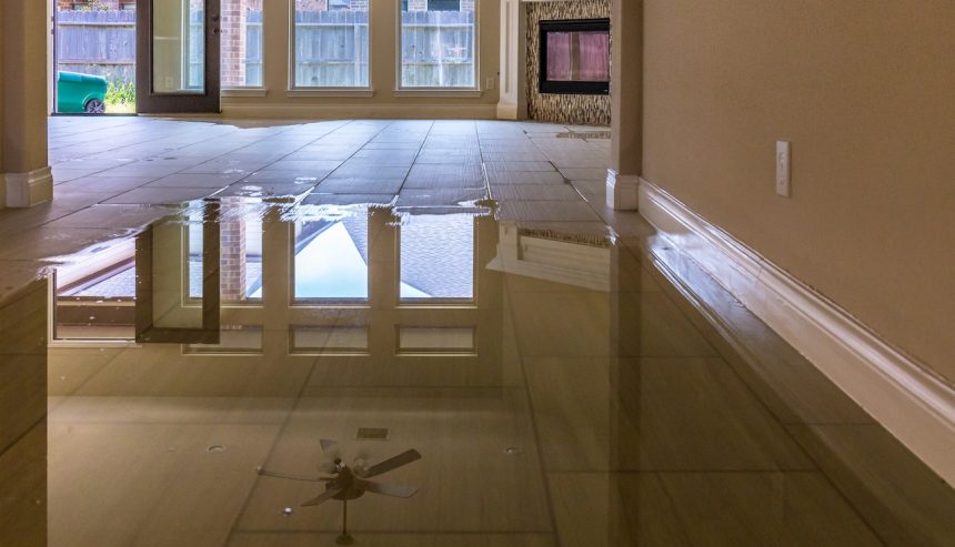 best water damage restoration process in zephyrhills