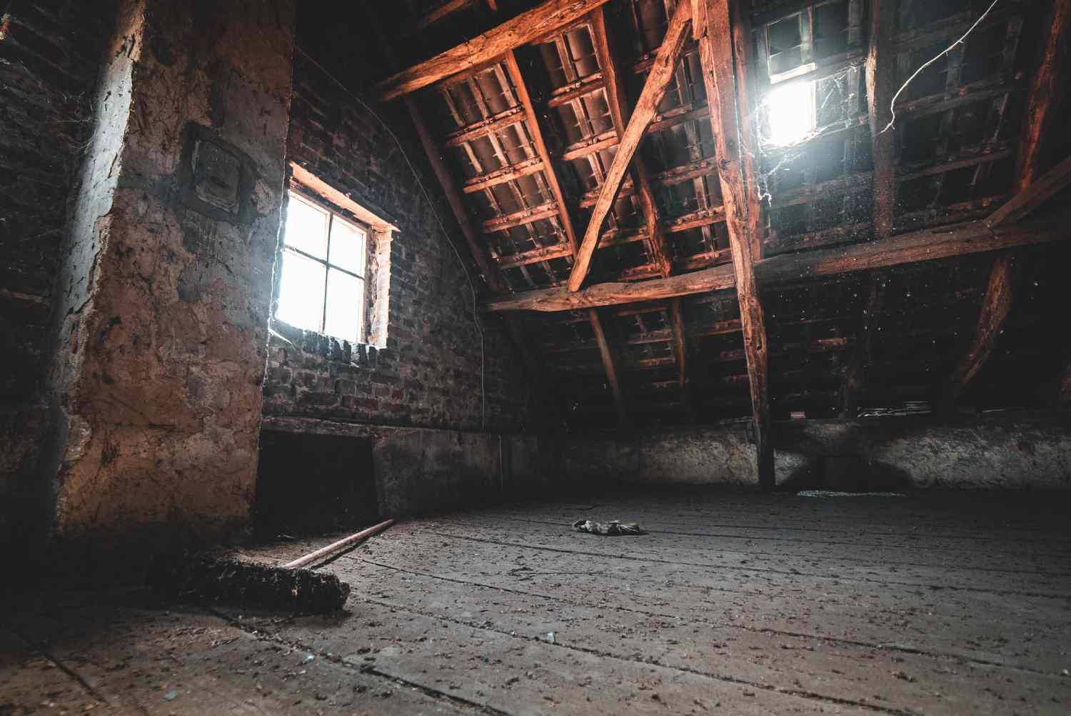 What Causes Black Mold in the Attic
