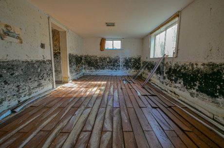 Mold-covered walls reveal hidden slab leak.