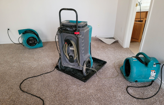 Ultimate Guide to Water Damage Restoration in Zephyrhills