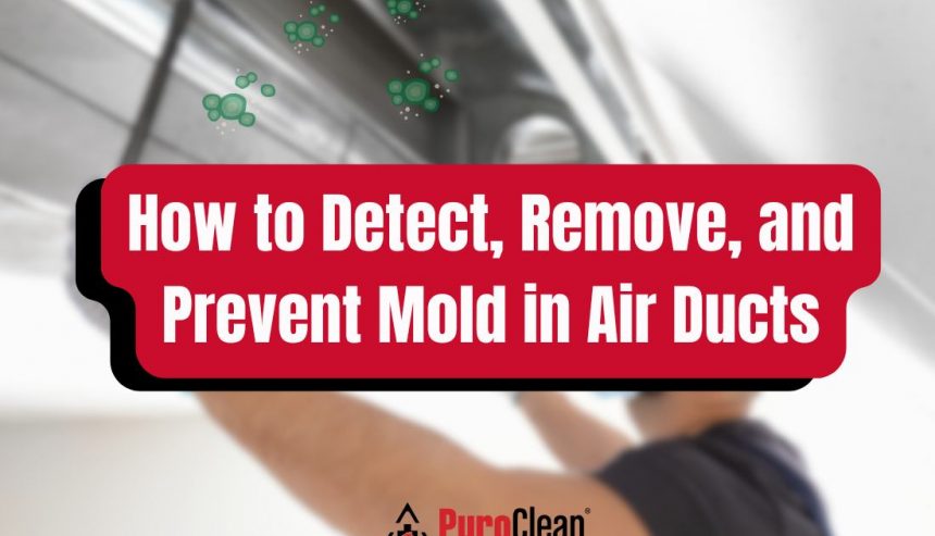 mold in air ducts