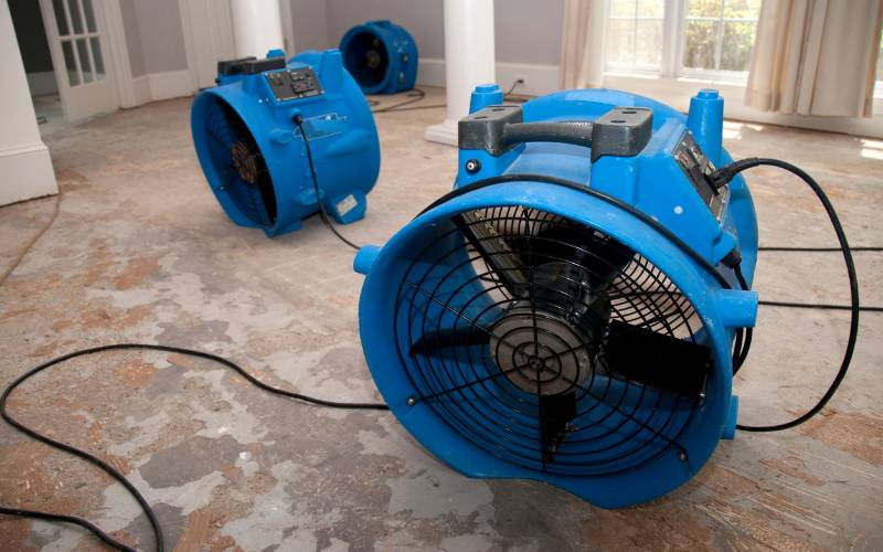 flood cleanup company