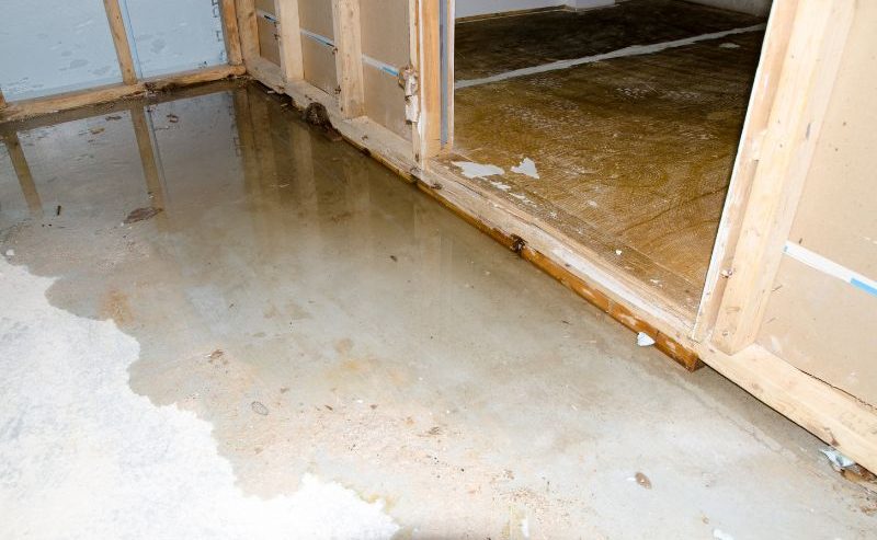how to fix water damaged wood