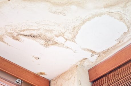 drywall water damage