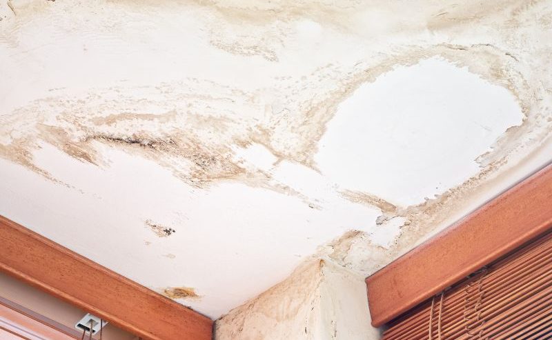 drywall water damage