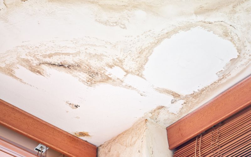 drywall water damage