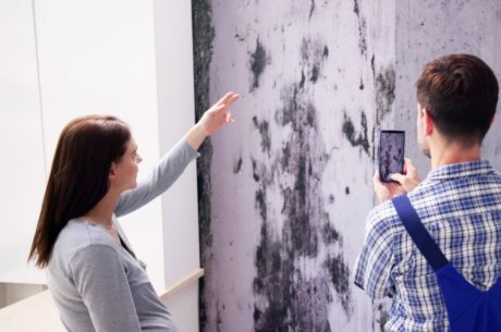 how to get rid of black mold