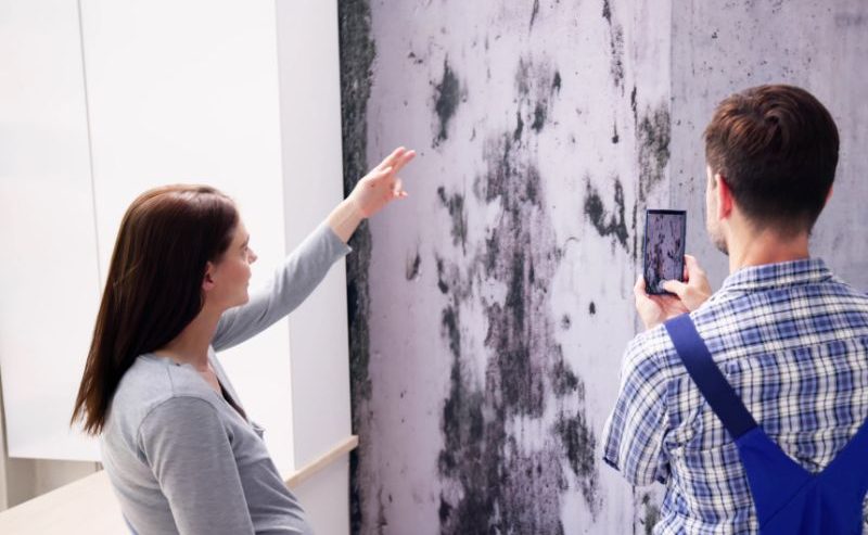 how to get rid of black mold