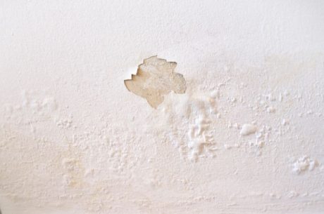 repair water damaged drywall