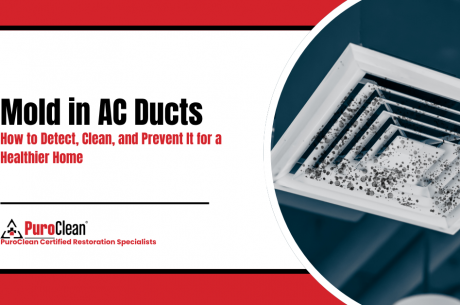 Mold in AC Ducts How to Detect, Clean, and Prevent It for a Healthier Home