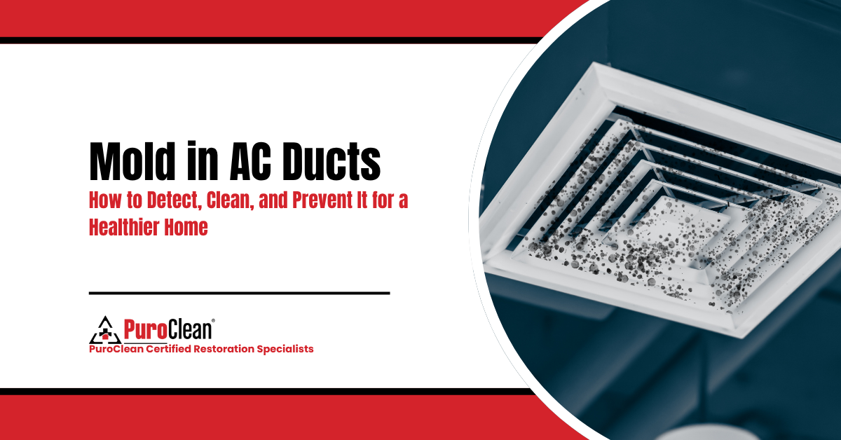 Mold in AC Ducts How to Detect, Clean, and Prevent It for a Healthier Home