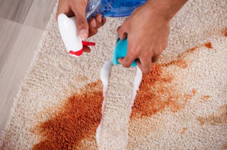 carpet stain removal service