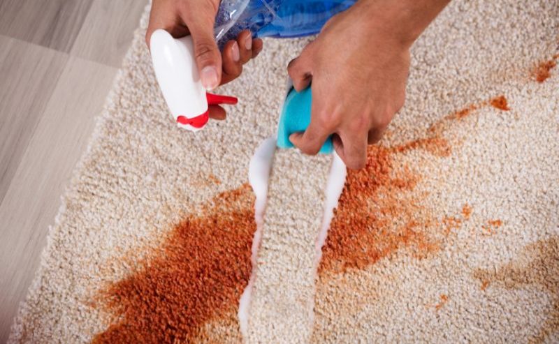 carpet stain removal service