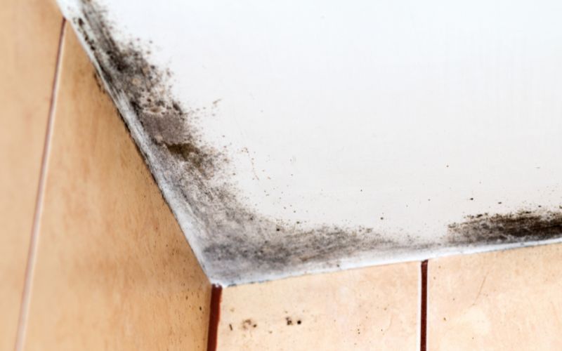 mold on bathroom ceiling