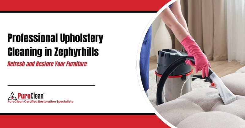 upholstery cleaning service in zephyrhills