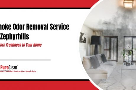 Smoke Odor Removal Service in Zephyrhills: Restore Freshness to Your Home