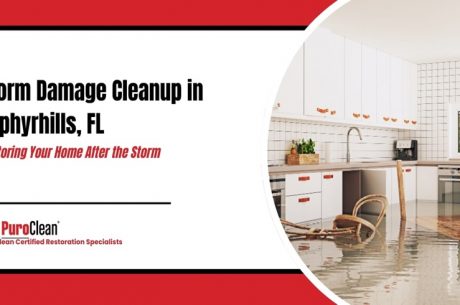 Storm Damage Cleanup in Zephyrhills, FL: Restoring Your Home After the Storm
