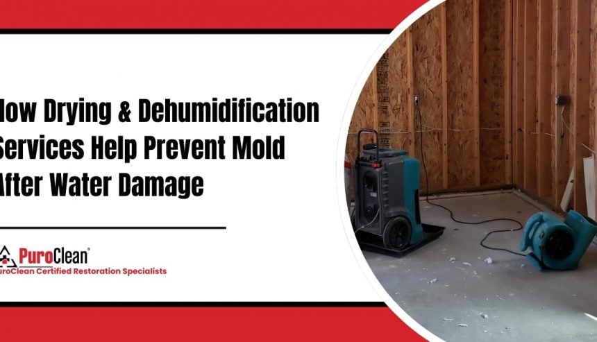 How Drying & Dehumidification Services Help Prevent Mold After Water Damage