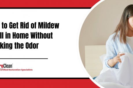 How to Get Rid of Mildew Smell in Home Without Masking the Odor