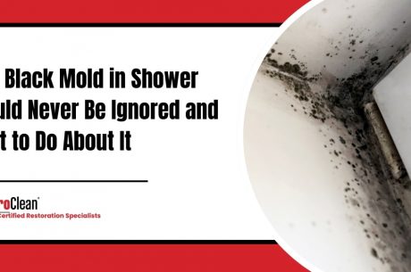Why Black Mold in Shower Should Never Be Ignored and What to Do About It