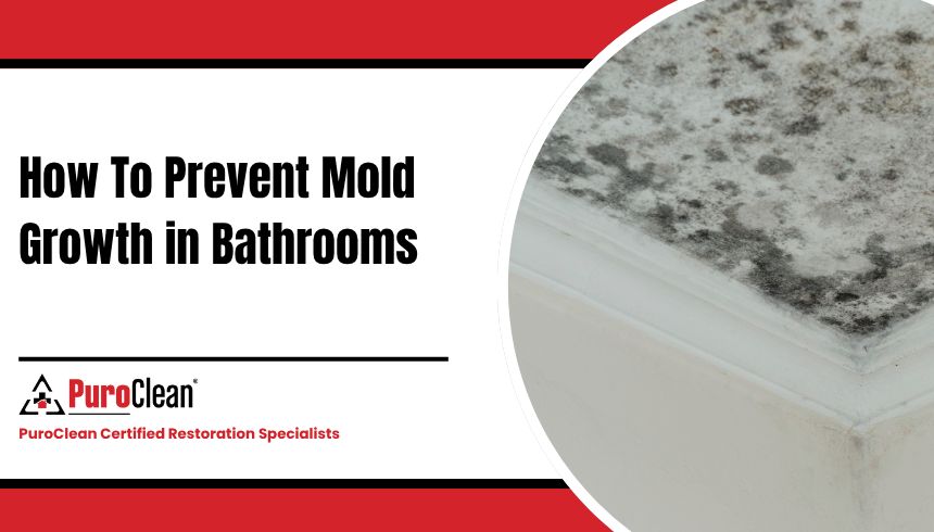 How To Prevent Mold Growth in Bathrooms