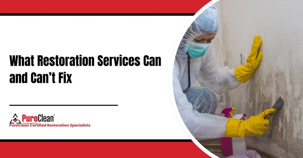 restoration services zephyrhills fl