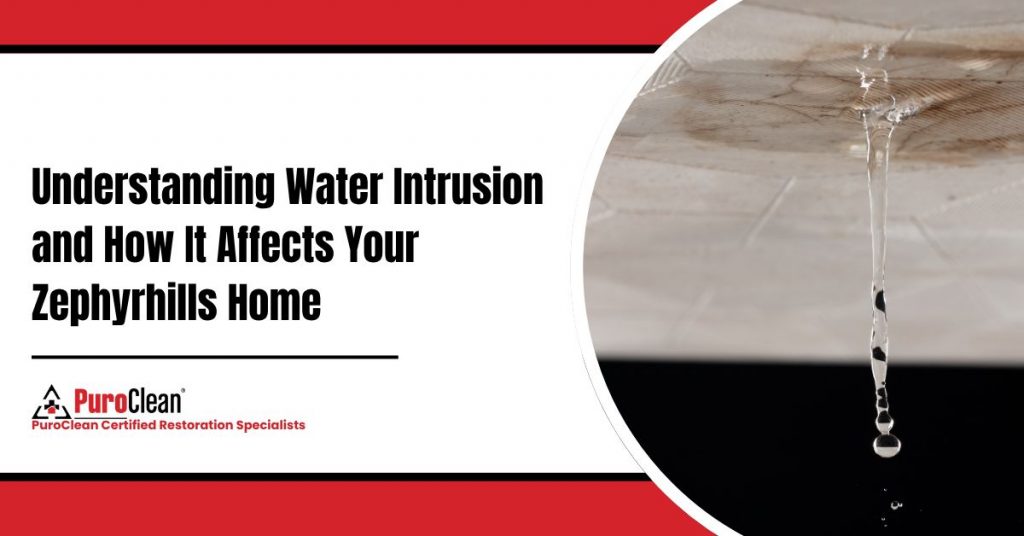 Understanding Water Intrusion and How It Affects Your Zephyrhills Home