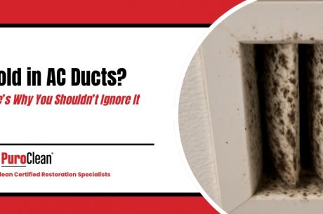 mold in AC ducts