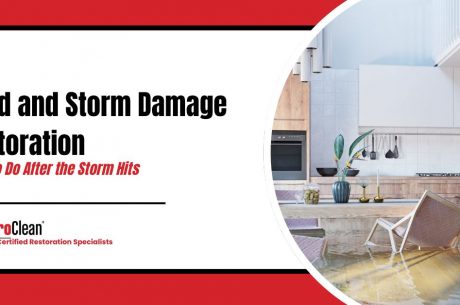 Wind and Storm Damage Restoration: What to Do After the Storm Hits